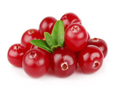 Cranberry at Uromexil Forte